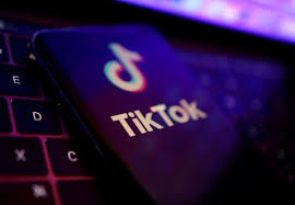 TikTok Video Downloaders: A Double-Edged Sword for Under-14s and Parental Control