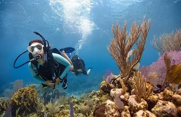 Scuba Diving Courses in the UK: How to Find the Right Diving Lessons Near You