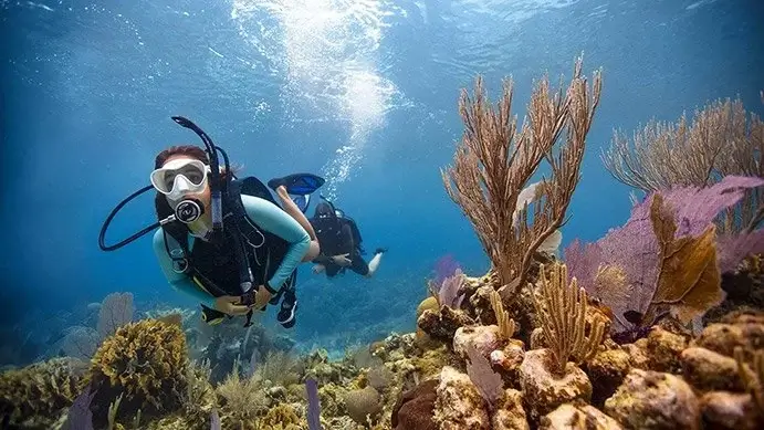 Scuba Diving Courses in the UK: How to Find the Right Diving Lessons Near You