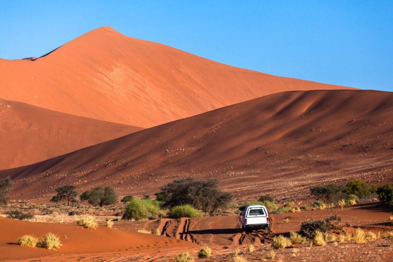 Common Mistakes Travelers Make When Booking Namibia Tours